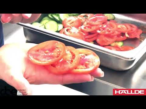 Hallde Demo RG-100 at DCE