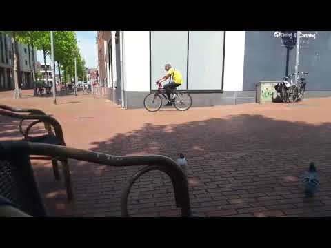 Team Harry de vlogger Een meeuw zat te eten