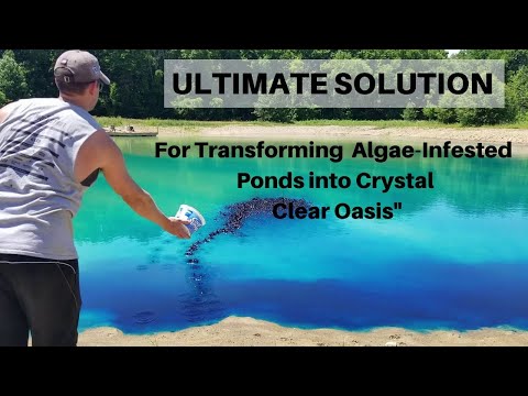 Blue powder pond dye colourant