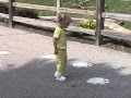 Gracie Goes To The Zoo