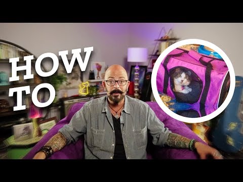 How to Make Your Cat Love the Carrier