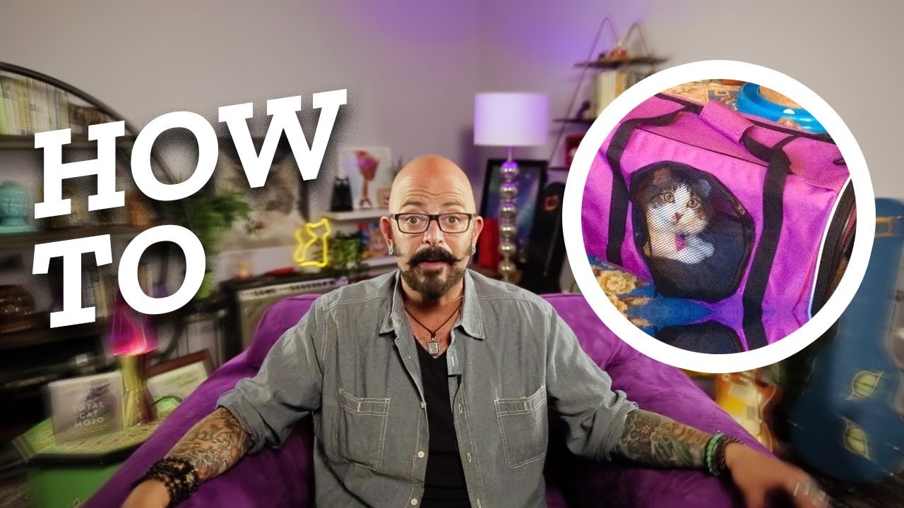 How To Get Your Cat Into a Pet Carrier