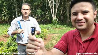 O que é micro aspersão? Irrigação localizada