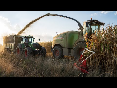 Großeinsatz Maishäckseln 2022 | Claas Xerion 5000/Fendt Katana 85/Fendt 930 TMS | 4K || farmer.pics