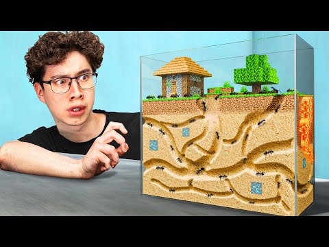 I Built Minecraft IRL for my Ant Colony
