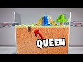 I Built Minecraft IRL For My Ant Colony
