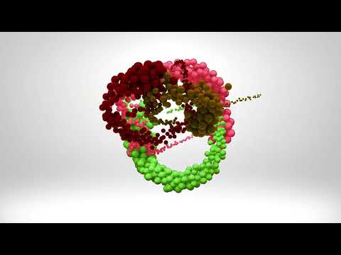 Domineeky + Tru Roots Project - Favourite Waste of Time (Contenders Funk Radio Edit)