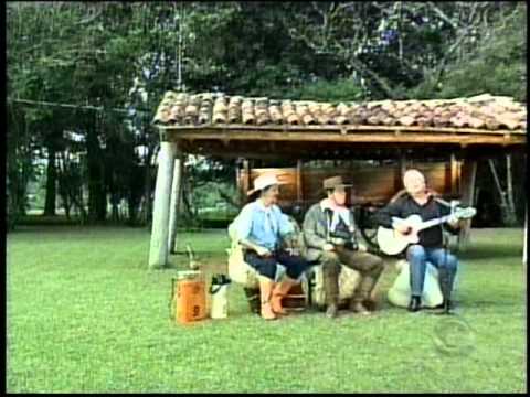 Raul Ellwanger - Pealo De Sangue