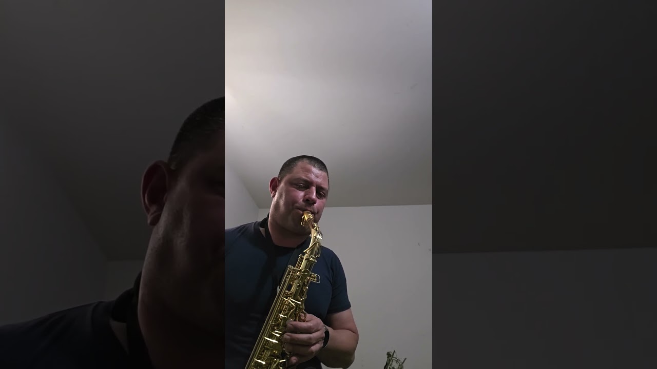 Promotional video thumbnail 3 for Skyline Sax