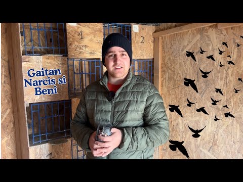 Campioni Olimpici - Maastricht 2024 - Gaitan Narcis si Beni din Jud. Suceava ( rețeta succesului ) !