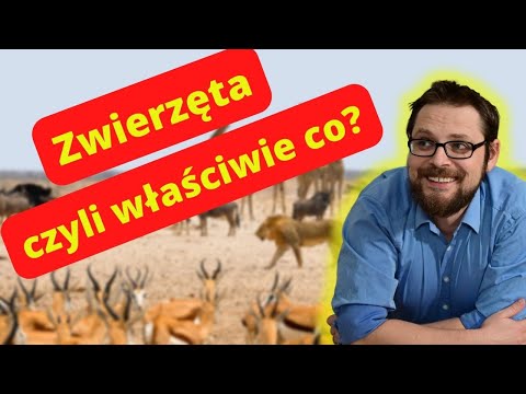 Królestwo zwierząt jest kosmicznie różnorodne. Kręgowce i bezkręgowce, ciekawostki i takie tam 🙀