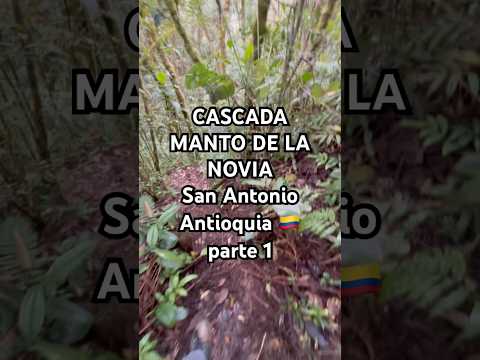 CASCADA MANTO DE LA NOVIA, Vereda San Antonio, Támesis, Antioquia 🇨🇴Colombia