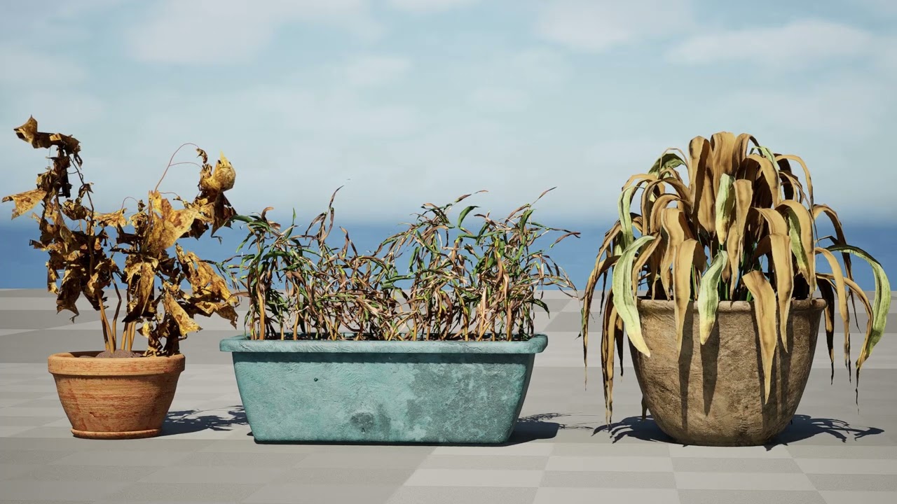 Dead Plant 3D Collection 3D Model