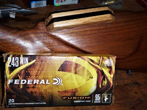 Mossberg 800B \u0026 Federal Fusion 95gr.