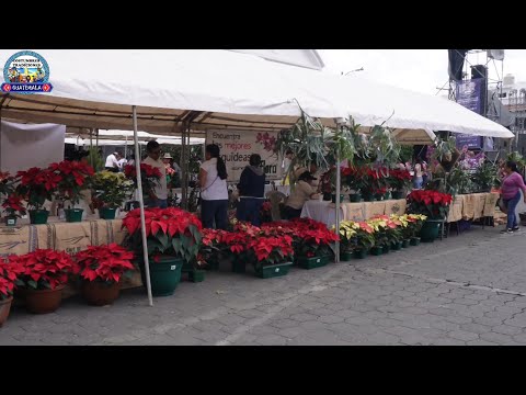 FESTIVAL DE LAS PASCUAS, San Miguel Dueñas