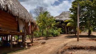 Somewhere, deep in the jungle