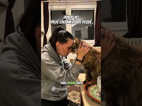 Další důvod, proč chodím nejen do práce pozdě🫣 Co říkáte svým zvířátkům, když odcházíte z domu?🐱