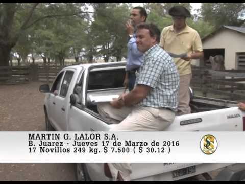 17-03-16 Ventas de Machos - Martin G. Lalor S.A. - B. Juarez.