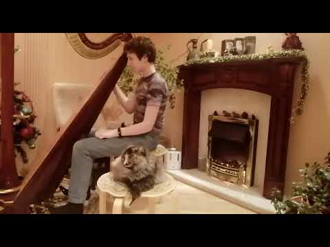 Cat and harp