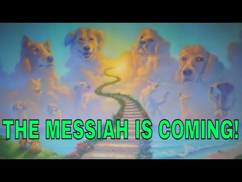 Witness21  2018 10 08