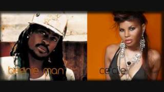 Ce'Cile - So Fly (Feat. Beenie Man) NEW!