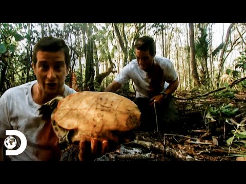 Bear Grylls roasts and eats a turtle | Man vs. Wild | Discovery Latin America
