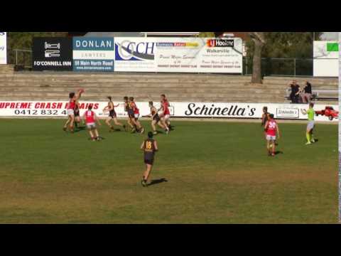 North's Kym Lebois kicks a beauty from the boundary - July 2016