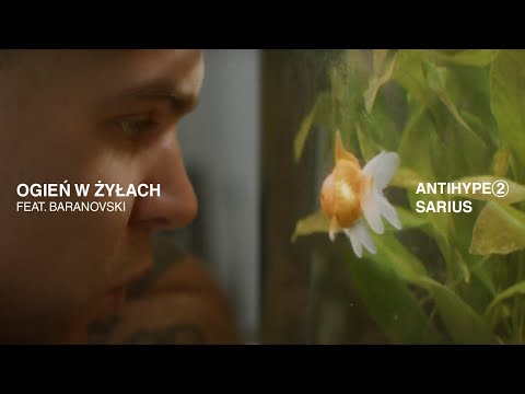 Sarius feat. BARANOVSKI - Ogień W Żyłach (prod. Czarny HIFI)