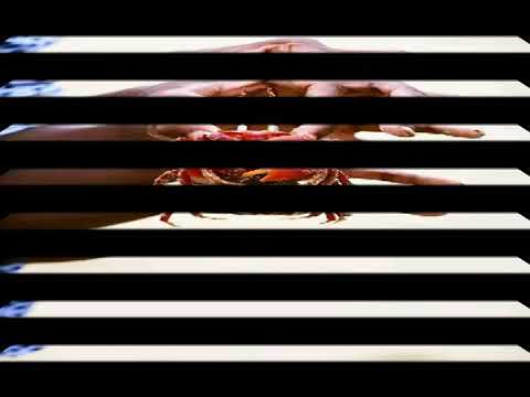 Talshari / Sea Beach / An Offbeat Destination in Odisha