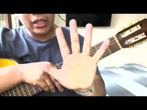 Sambos De Corazón - Proyección