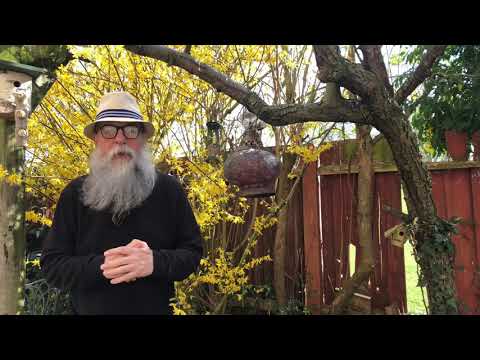 Say Not The Struggle Naught Availeth by Arthur Hugh Clough Poem #384 06.04.21