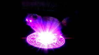 Cover art for boss cat