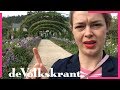 Ronddwalen in de tuin waar Monet zijn waterlelies schilderde - de Volkskrant
