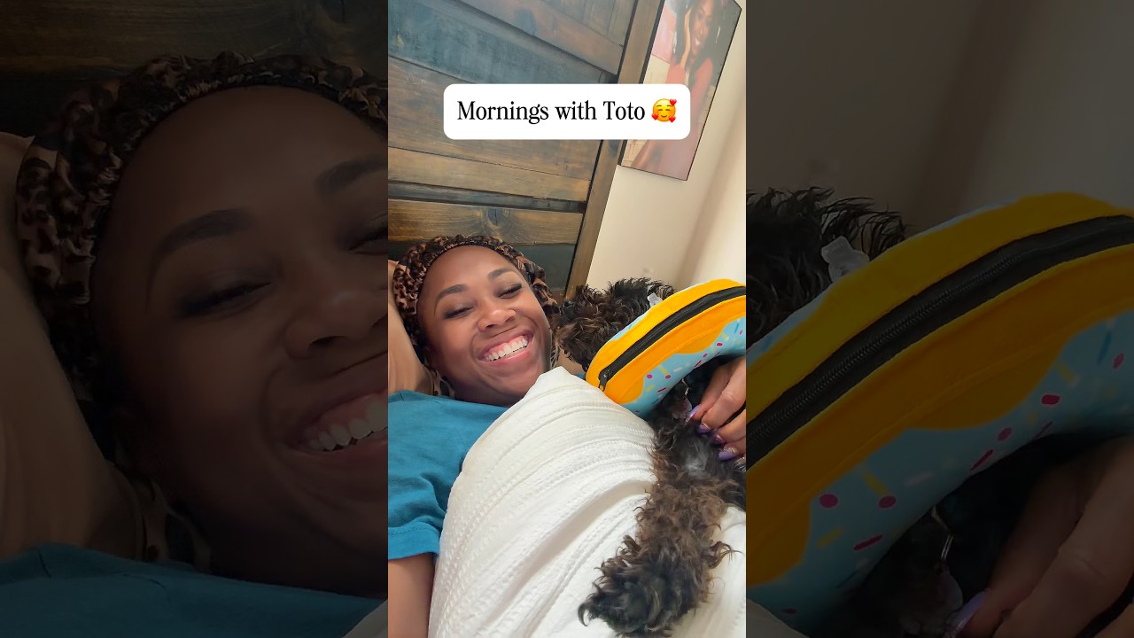 This little guy 😂 #rescuedog #dogshorts #dogmom