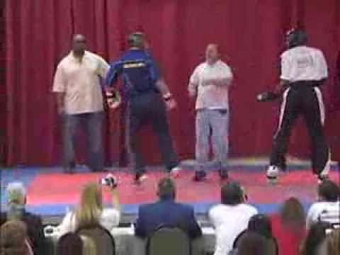 Ross Levine vs Travis Plowden 2007 Pan American Internationals Karate Tournament