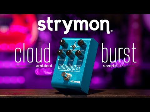 Strymon Cloudburst Ambient Reverb image 9