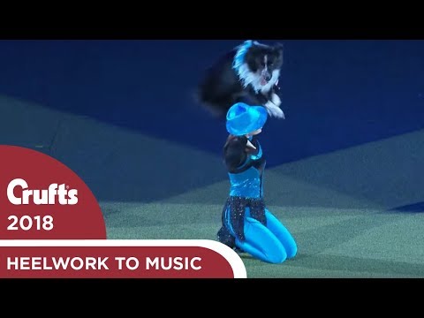 Heelwork to Music - Freestyle International Winner | Crufts 2018