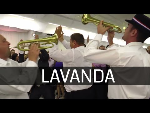 Lavanda - SLAVONSKI TRUBAČI