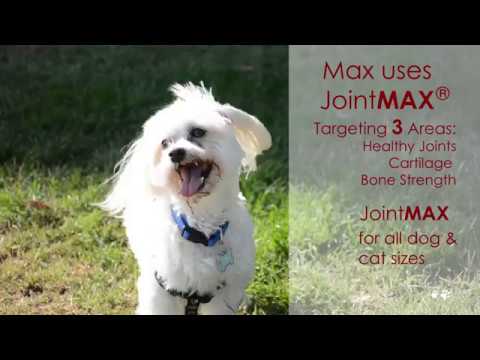 Joint MAX Triple Strength Soft Chews (120 Chews) Video
