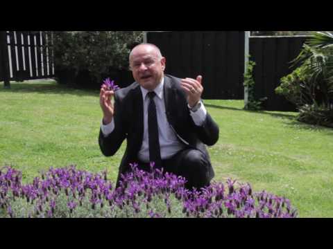 SOLD - 12 Hawkins Street, Meadowbank -