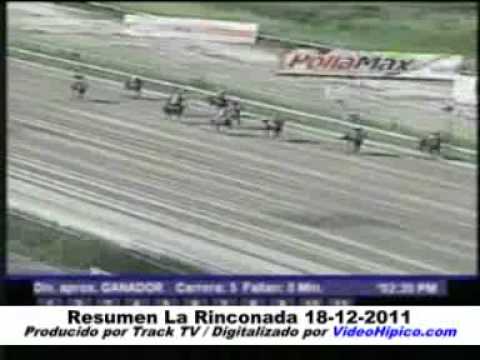 Resumen de las carreras del 18-12-11 (La Rinconada)