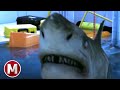 Ice Sharks 2016 Trapped By Sharks Scene