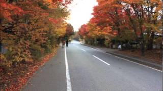 Love Minus One Music Video