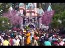 The Disney Stars