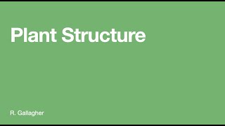 Plant Structure