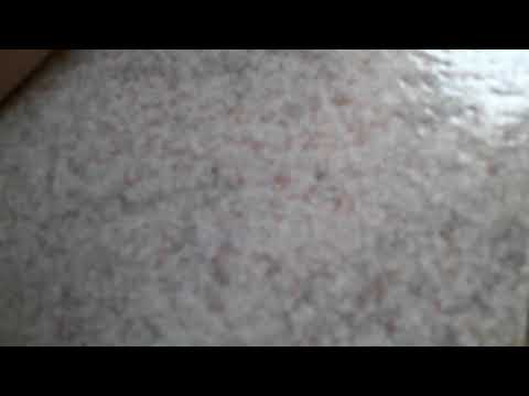 Di Wiko Harry 2 ringtone settings suoneria e suono di notifica pretefinto e sono sveglia predefinito