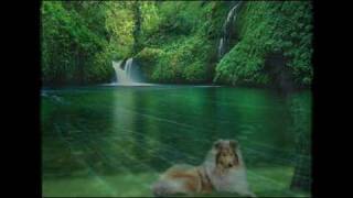 Grace Thrillers - Take Your Burden To The Lord