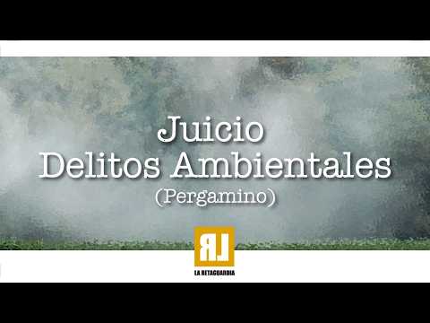 Juicio delitos ambientales en Pergamino -día 12- Jueves 9 de abril de 2026 9:00 horas