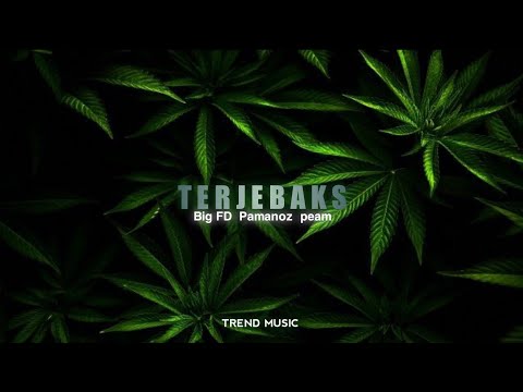 Terjebaks _( Big FD X Pamanoz X Peam)