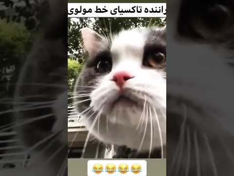 ۱۸ سپتامبر ۲۰۲۲